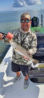 Speckled Trout / Spotted Seatrout fishing in Corpus Christi, Texas