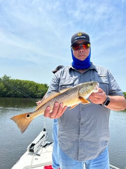 Redfish Fishing in Clearwater, Florida