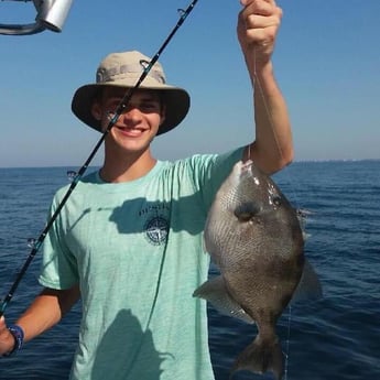 Triggerfish Fishing in Destin, Florida