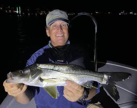 Snook Fishing in Jupiter, Florida