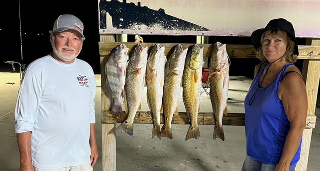 Black Drum, Redfish Fishing in Rockport, Texas