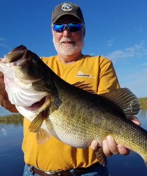 Largemouth Bass fishing in Fort Lauderdale, Florida