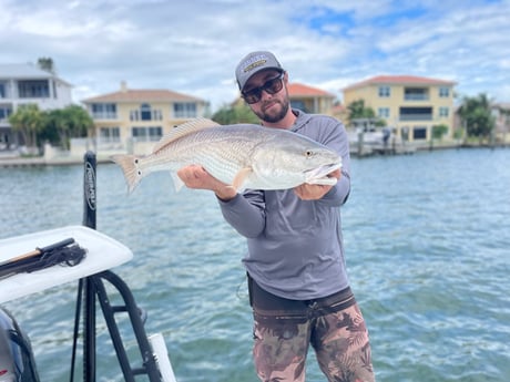 Redfish fishing in Clearwater, Florida