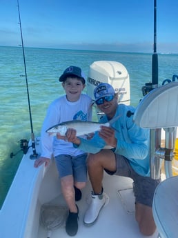 Lane Snapper, Mutton Snapper, Yellowtail Snapper fishing in Marathon, Florida