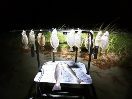 Flounder, Redfish Fishing in Rio Hondo, Texas