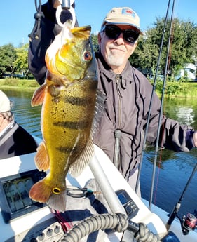 Peacock Bass Fishing in Delray Beach, Florida