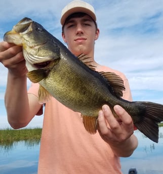 Largemouth Bass fishing in Fort Lauderdale, Florida