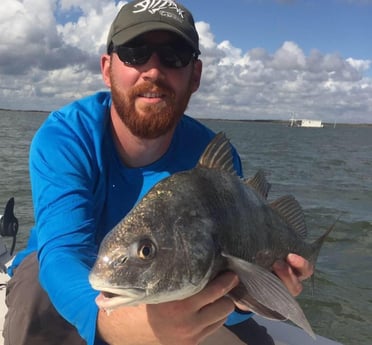 Black Drum fishing in Corpus Christi, Texas