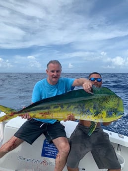 Mahi Mahi / Dorado fishing in Key West, Florida