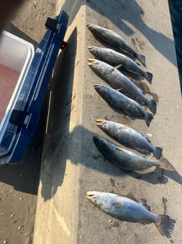 Fishing in Galveston, Texas