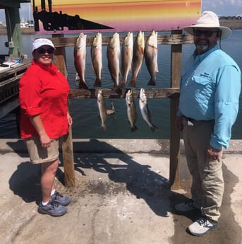 Redfish, Speckled Trout Fishing in Rockport, Texas