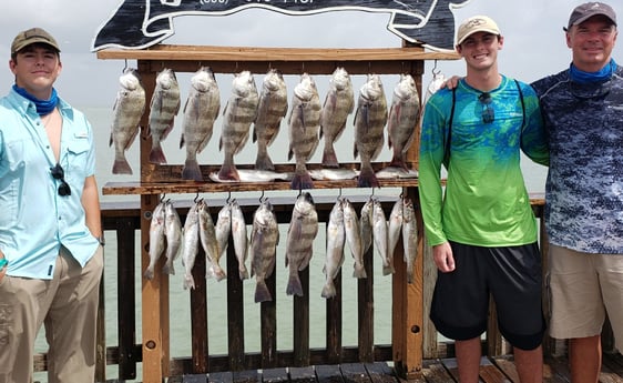 Black Drum, Speckled Trout / Spotted Seatrout fishing in Port Isabel, Texas