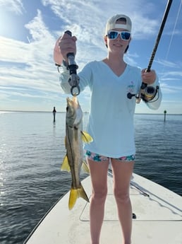 Fishing in Sarasota, Florida