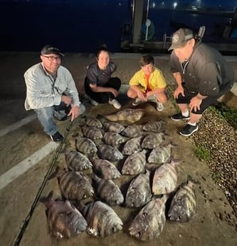 Sheepshead fishing in Galveston, Texas