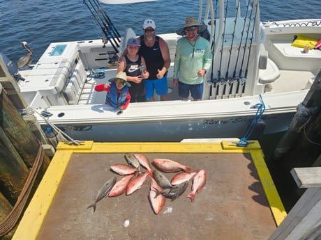 Amberjack, Red Snapper Fishing in Panama City, Florida