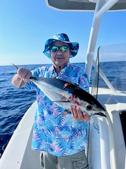 Blackfin Tuna Fishing in Key West, Florida