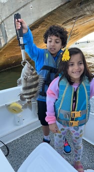 Sheepshead Fishing in Galveston, Texas