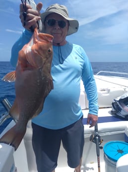 Albacore Tuna fishing in Clearwater, Florida