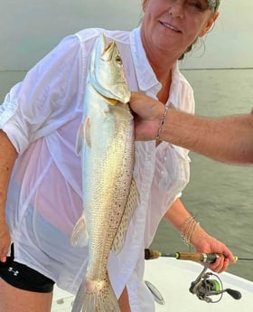 Speckled Trout / Spotted Seatrout fishing in Galveston, Texas