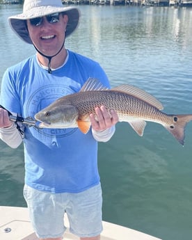 Redfish Fishing in Sarasota, Florida