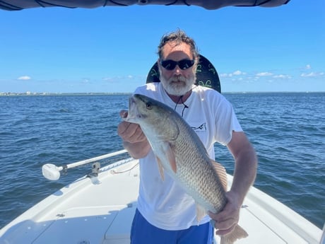 Redfish Fishing in Destin, Florida