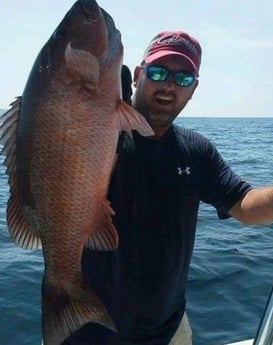 Mangrove Snapper Fishing in Panama City, Florida