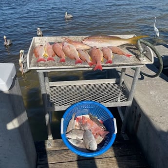 Fishing in Holmes Beach, Florida