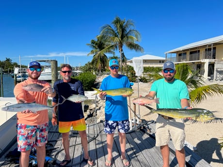 Amberjack, Cero Mackerel, Mahi Mahi / Dorado, Mangrove Snapper Fishing in Marathon, Florida