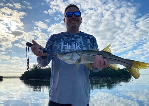 Snook Fishing in Sarasota, Florida