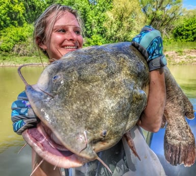 Flathead Catfish fishing in Dallas, Texas