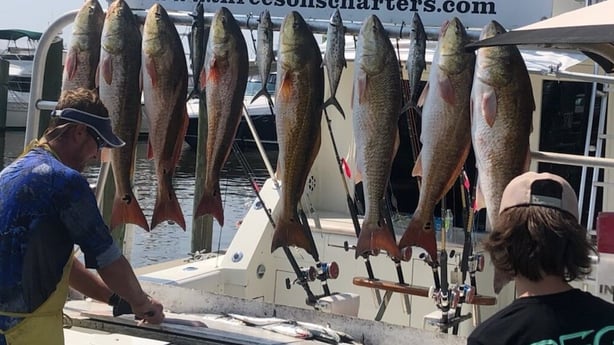 Redfish, Spanish Mackerel fishing in Biloxi, Mississippi