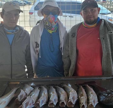 Black Drum, Redfish, Speckled Trout / Spotted Seatrout fishing in Galveston, Texas