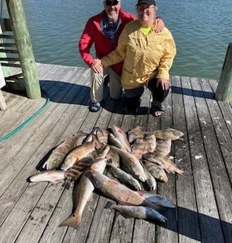 Black Drum, Redfish, Sheepshead, Speckled Trout / Spotted Seatrout Fishing in Port O&#039;Connor, Texas