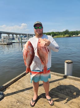 Red Snapper Fishing in Pensacola, Florida