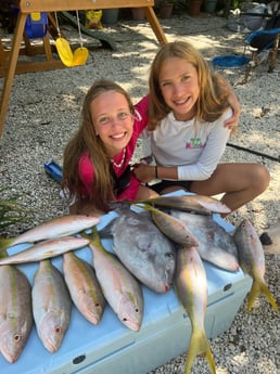 Triggerfish, Yellowtail Snapper Fishing in Key Largo, Florida