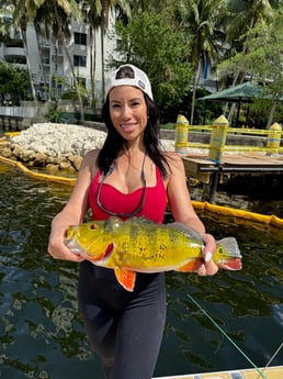 Fishing in Miami, Florida