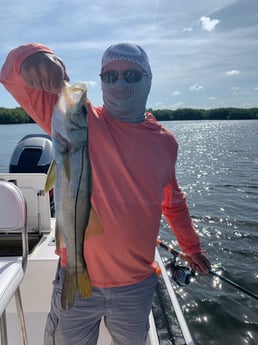 Spanish Mackerel fishing in Clearwater, Florida