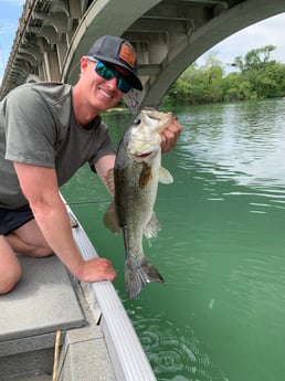 Largemouth Bass fishing in Austin, Texas