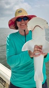 Bonnethead Shark Fishing in Mount Pleasant, South Carolina