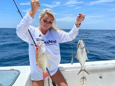 Amberjack, Lane Snapper fishing in St. Augustine, Florida