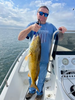 Redfish Fishing in Orange Beach, Alabama