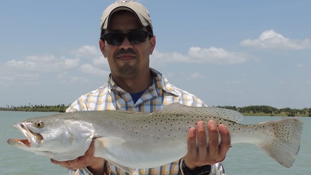 Speckled Trout / Spotted Seatrout fishing in Port Isabel, Texas