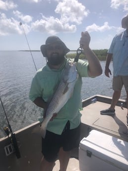 Redfish Fishing in Rockport, Texas