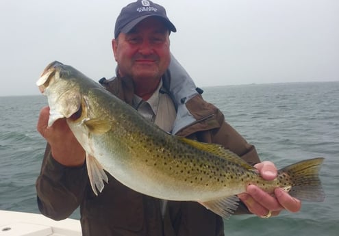 Speckled Trout / Spotted Seatrout fishing in Corpus Christi, Texas