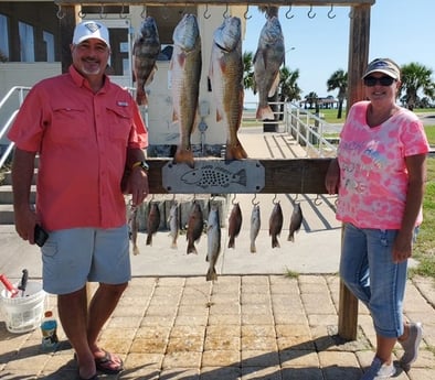 Black Drum, Mangrove Snapper, Redfish, Speckled Trout / Spotted Seatrout fishing in Rockport, Texas