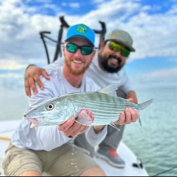 Tarpon Fishing in Islamorada, Florida