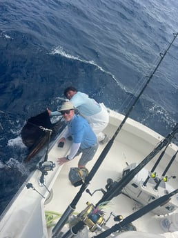 Fishing in Key Biscayne, Florida