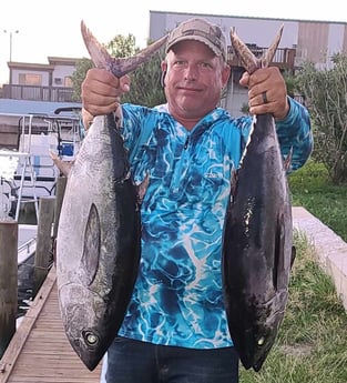 Blackfin Tuna fishing in Port Isabel, Texas