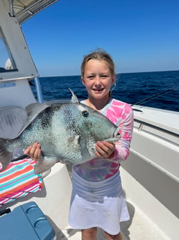 Triggerfish Fishing in Santa Rosa Beach, Florida