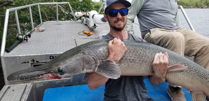 Alligator Gar fishing in Livingston, Texas